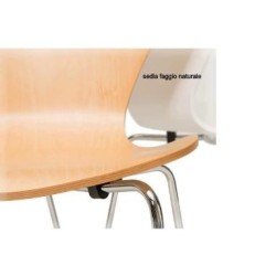 Chaise Série 7 Design en Hêtre Cintré | Tavoli.Design