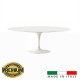 Oval Laminate Tulip table cm 160x85 + 6 DSW chairs