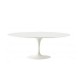 Tulip table oval Liquid laminate