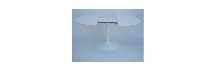 Extending table